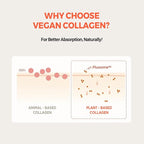 KLAVUU Real Vegan Collagen Eye Patches (60 Patches) - Korean Overnight Under Eye Mask for Puffy, Sagging Eyes, Fine Lines & Wrinkles | Elasticity Boost with Low-Molecular Carrot Collagen (500 Daltons)