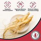 Dairyland American Ginseng Roots 西洋参 - 16 oz Pack of Wisconsin Ginseng Root - Authentic American Ginseng - Non-GMO, Gluten Free Whole Ginseng - Use This Herbal Supplement in Soup, Tea, Congee