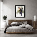 ArtDirect Curled-Crested Cuckoo Custom Framed Art Print Giclee Print or Canvas Options with Various Sizes and Customization by Glover, John
