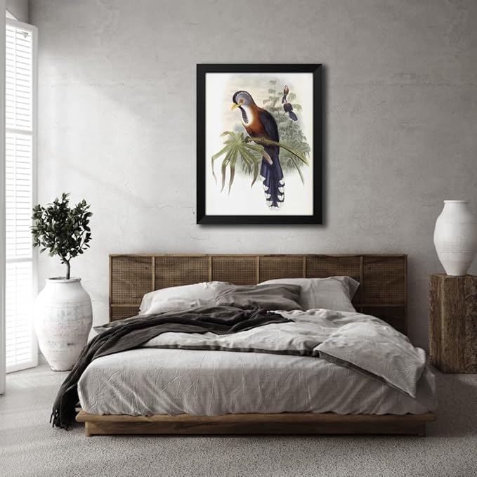 ArtDirect Curled-Crested Cuckoo Custom Framed Art Print Giclee Print or Canvas Options with Various Sizes and Customization by Glover, John
