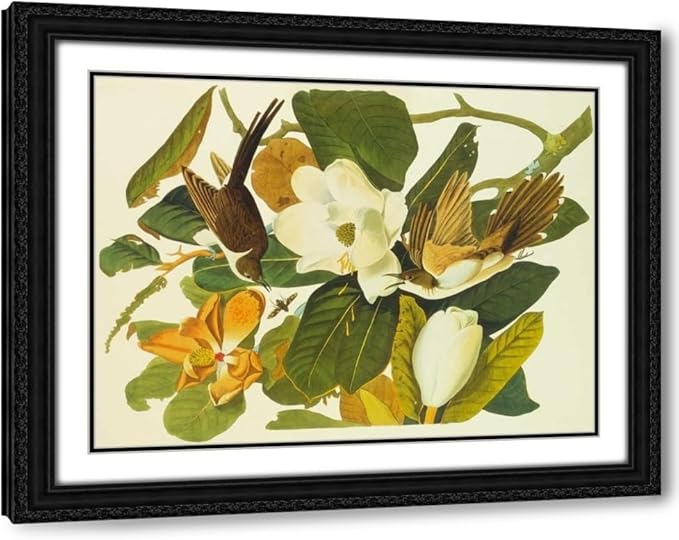 ArtDirect Black-Billed Cuckoo Custom Framed Art Print Giclee Print or Canvas Options with Various Sizes and Customization by Audubon, John James