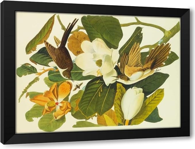 ArtDirect Black-Billed Cuckoo Custom Framed Art Print Giclee Print or Canvas Options with Various Sizes and Customization by Audubon, John James