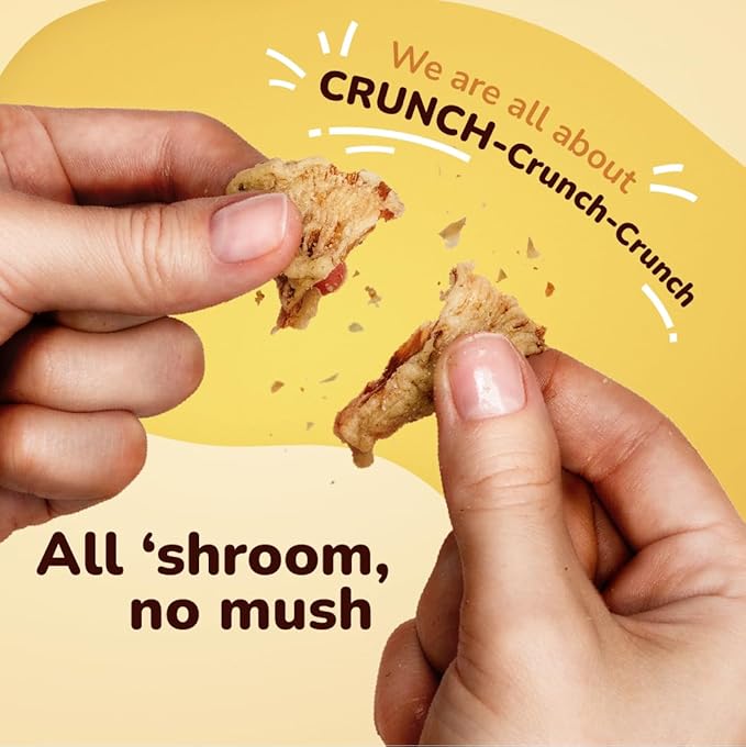 EVIL SNACKS Crunchy Mushroom Chips - VARIETY PACK, Non-GMO, Plant-Based, Vegan - Nutrient-Packed, On-the-Go Snack - 1 Oz (6 Pack)