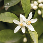 Neroli Essential Oil 100% Pure, Undiluted Oil - Extracted from The Bitter Orange Tree Blossoms - Rich & Floral Scent, with Citrusy Overtones - Therapeutic Grade & Vegan - 0.17oz (5ml)