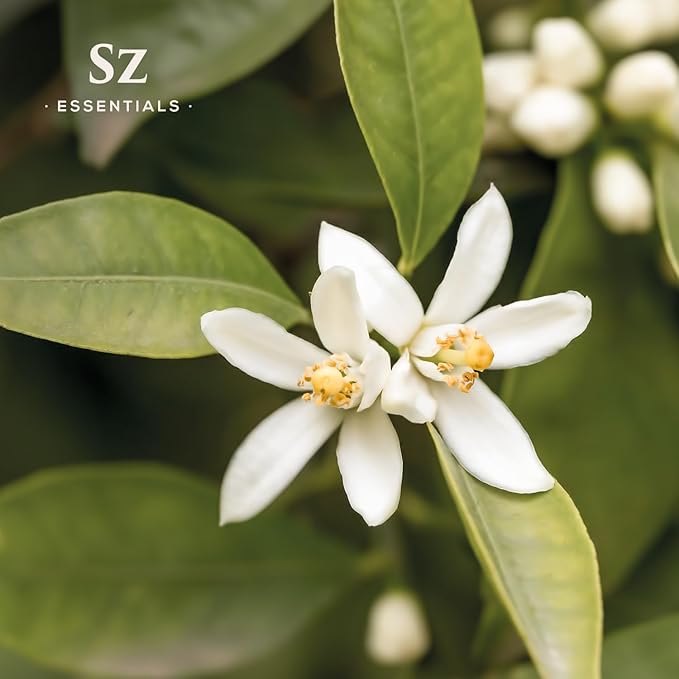 Neroli Essential Oil 100% Pure, Undiluted Oil - Extracted from The Bitter Orange Tree Blossoms - Rich & Floral Scent, with Citrusy Overtones - Therapeutic Grade & Vegan - 0.17oz (5ml)