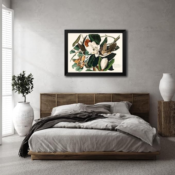 ArtDirect Black-billed Cuckoo Custom Framed Art Print Giclee Print or Canvas Options with Various Sizes and Customization by Audubon, John James