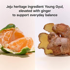 OSULLOC Ginger Young-Gyul Tea, Green Tea with Tangerine & Spice, Immunity Support Blend, 20 Count, 1.27 oz