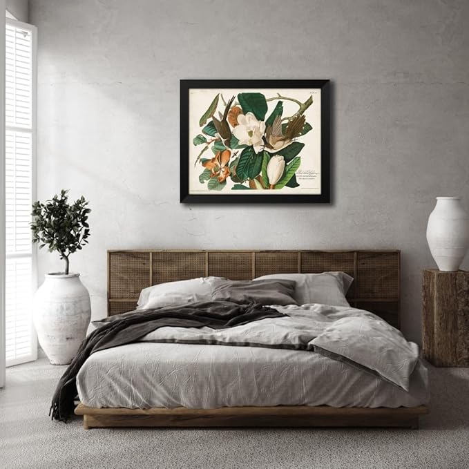 ArtDirect Pl 32 Black-billed Cuckoo Custom Framed Art Print Giclee Print or Canvas Options with Various Sizes and Customization by Audubon, John James