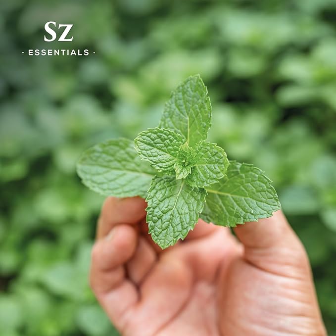 Peppermint Essential Oil - Sweet Candy Cane Scent! The Real Deal - 100% Pure and Natural - Undiluted - 5ml