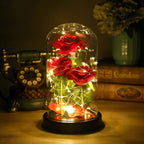 Christmas Flowers Gifts for her,Beauty and The Beast Rose,with 40 Warm White LED Brightness Adjustment,Prime Delivery Flowers Gifts,Anniversary/Thanksgiving/Valentines Gift for Women,Girlfriend,Mom