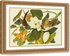 ArtDirect Black-Billed Cuckoo Custom Framed Art Print Giclee Print or Canvas Options with Various Sizes and Customization by Audubon, John James
