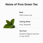 OSULLOC Pure Green Tea (Mild, Clean tasting Aroma), USDA Organic, Premium Blended Tea from Jeju, Tea Bag Series 20 count