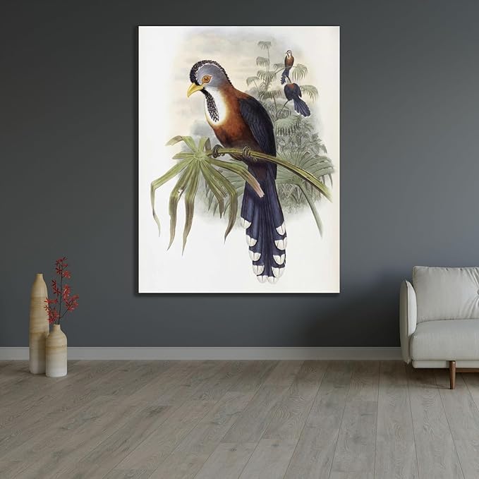 ArtDirect Curled-Crested Cuckoo Custom Framed Art Print Giclee Print or Canvas Options with Various Sizes and Customization by Glover, John