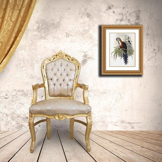 ArtDirect Curled-Crested Cuckoo Custom Framed Art Print Giclee Print or Canvas Options with Various Sizes and Customization by Glover, John