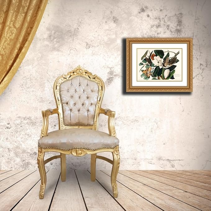 ArtDirect Black-billed Cuckoo Custom Framed Art Print Giclee Print or Canvas Options with Various Sizes and Customization by Audubon, John James