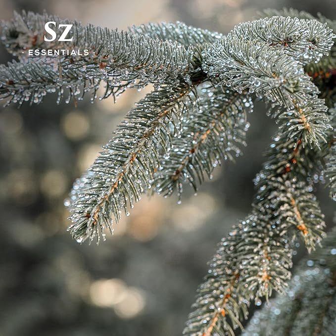Silver Fir Essential Oil - Delightful! 100% Pure and Natural Undiluted Oil, Therapeutic Grade & Vegan, Extracted from Abies Alba Fresh & Woody with Earthy Overtones - 0.17oz (5ml)