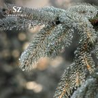 Silver Fir Essential Oil - Delightful! 100% Pure and Natural Undiluted Oil, Therapeutic Grade & Vegan, Extracted from Abies Alba Fresh & Woody with Earthy Overtones - 0.17oz (5ml)