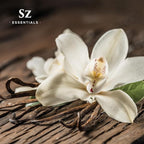 Vanilla 100% Pure, Essential Undiluted Oil - Extracted from Fresh Vanilla - Rich & Exotic Taste with Sweet Overtones - Therapeutic Grade & Vegan - 0.17oz (5ml)