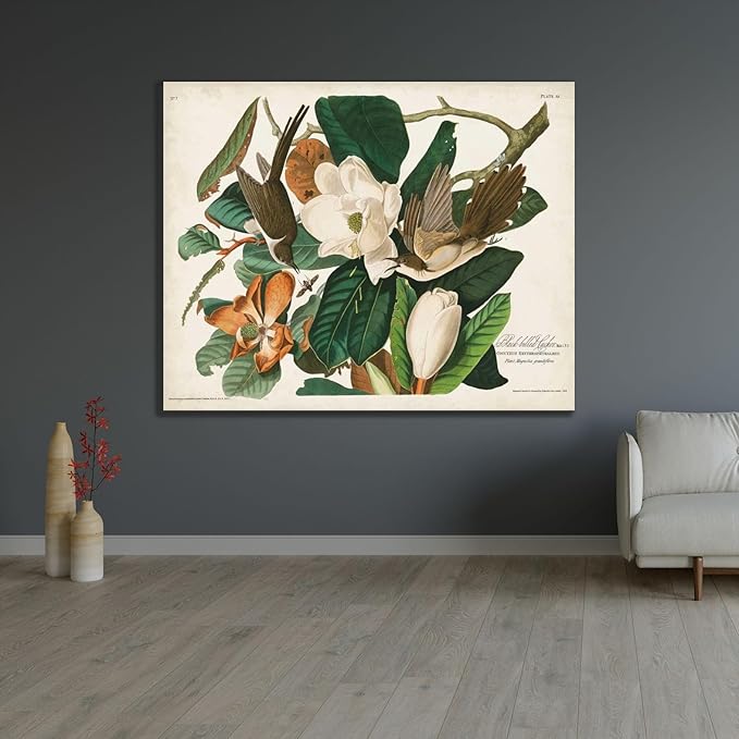 ArtDirect Pl 32 Black-billed Cuckoo Custom Framed Art Print Giclee Print or Canvas Options with Various Sizes and Customization by Audubon, John James