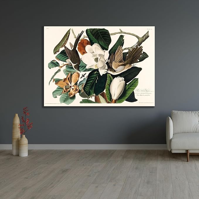 ArtDirect Black-billed Cuckoo Custom Framed Art Print Giclee Print or Canvas Options with Various Sizes and Customization by Audubon, John James