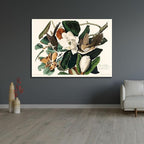 ArtDirect Black-billed Cuckoo Custom Framed Art Print Giclee Print or Canvas Options with Various Sizes and Customization by Audubon, John James