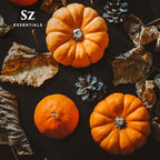 Pumpkin Spice Essential Blend Oil for Diffuser and Humidifier - 100% Pure and Natural - Rich Pumpkin Spice Scent, with Fruity and Spicy Overtones - Vegan - 0.17 floz (5 mL)