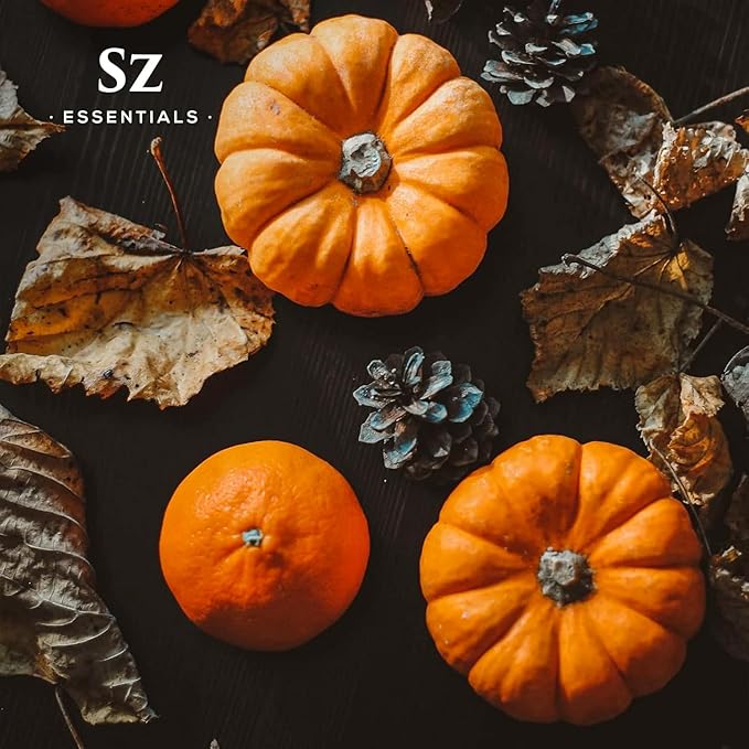Pumpkin Spice Essential Blend Oil for Diffuser and Humidifier - 100% Pure and Natural - Rich Pumpkin Spice Scent, with Fruity and Spicy Overtones - Vegan - 0.17 floz (5 mL)
