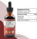 Active Ginseng Korean Red Panax Ginseng with Natural Ginsenosides - All-Natural Advanced Liquid Solution for 2X Absorption - Supports Healthy Energy, Vitality, Mood and More