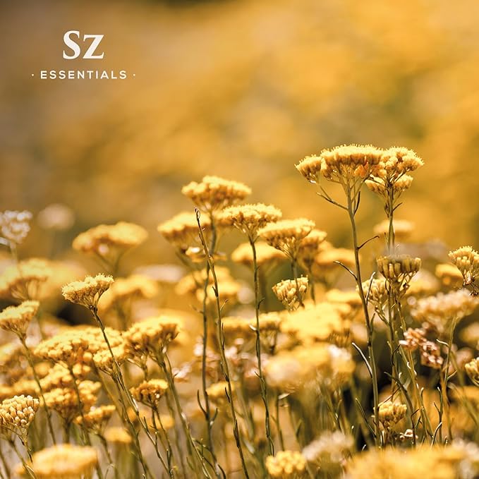 Helichrysum 100% Pure, Essential Natural Oil - Extracted from Helichrysum Italicum Immortelle - Pleasant & Sweet Scent with Floral Overtones - Therapeutic Grade & Vegan - 0.17 oz (5ml)