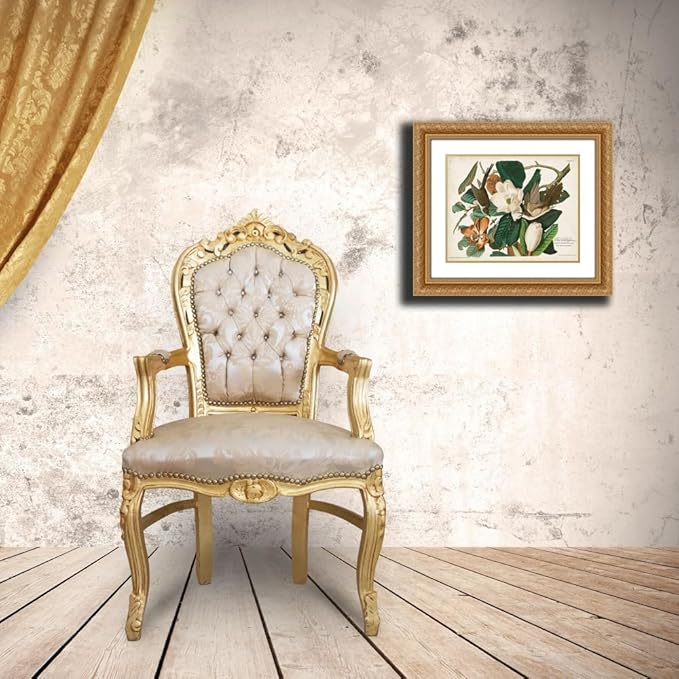 ArtDirect Pl 32 Black-billed Cuckoo Custom Framed Art Print Giclee Print or Canvas Options with Various Sizes and Customization by Audubon, John James