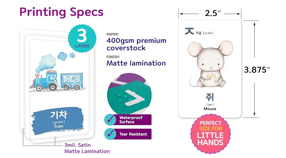 2-Pack Gift Set Korean Alphabet Flashcards for Toddlers, Preschoolers & Beginners | Hangul, Numbers, Colors, Shapes, + 196 Common Household Items Vocabulary