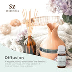 Silver Fir Essential Oil - Delightful! 100% Pure and Natural Undiluted Oil, Therapeutic Grade & Vegan, Extracted from Abies Alba Fresh & Woody with Earthy Overtones - 0.17oz (5ml)
