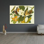 ArtDirect Black-Billed Cuckoo Custom Framed Art Print Giclee Print or Canvas Options with Various Sizes and Customization by Audubon, John James