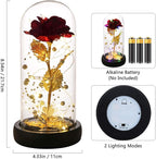 Christmas Day Rose Gifts for Women,Flowers for Delivery Prime,Flower Galaxy Artificial Flower Light Up Rose in A Glass Dome,Anniversary Valentines Birthday Xmas