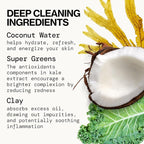 Pacifica Kale Detox Face Wash for Oily & Acne-Prone Skin, Deep Cleansing Facial Cleanser & Makeup Remover with Super Greens Kale, Seaweed & Clay, 5 fl oz –Clean Beauty, Vegan & Cruelty-Free