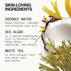 Pacifica Beauty Sea Foam Face Cleanser, Daily Gentle Foaming Face Wash, With Coconut Water + Sea Algae Complex, Removes Makeup, For Combination and Oily Skin, Vegan and Cruelty Free, Clean Skin Care
