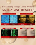 Bonyongo Red Ginseng Vinegar Cream – Intensive Hydrating and Firming Face Moisturizer for Smooth, Youthful Skin - Nourishing with Fermented Red Ginseng - Korean Skincare, 1.86oz.