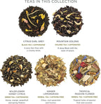 Tea Forte Demoiselle Premium Tea Presentation Box Tea Gift Sampler, 20 Count, 2 of Each Variety Individually Wrapped Handcrafted Pyramid Infuser Bags