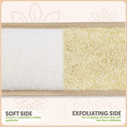 Almooni Natural Egyptian Loofah Back Scrubbers for Use in Shower, Exfoliating Natural Loofah Back Scrubber for Shower for Men and Women to Clean Your Back Deeply - 1 Count (1 Pack)