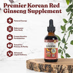 Active Ginseng Korean Red Panax Ginseng with Natural Ginsenosides - Liquid Delivery for Better Absorption - Supports Healthy Energy, Vitality, Mood and More