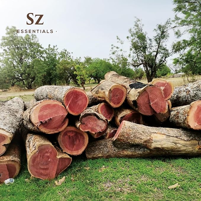 Palo Rosa Essential Oil - Peruvian Rosewood (Aniba Rosaeodora) - 100% Pure & Natural - Rich & Woody Scent, with Fresh Overtones - Therapeutic Grade & Vegan - 0.17 Fl Oz (5ml)