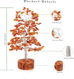 FASHIONZAADI Carnelian Chakra Tree of Life - Crystal for Positive Energy, Handmade Gemstone Feng Shui Decor, Good Luck Money Tree Bonsai - Orange Healing Crystals for Sacral Chakra, Prosperity Gift