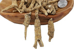 1LB=453g/Box American Ginseng,Hand-Selected Wisconsin Farmed Ginseng Root | Long Small |美国威斯康辛州 长枝西洋参 花旗参 礼盒装 |Cultivated Wisconsin American Ginseng WI 063# Box