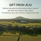 OSULLOC Green Tea Milk Spread (7.05 oz, 200g), Made of Finest Matcha from Jeju Island, Matcha-Infused Spreads