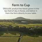 OSULLOC Green Tea Wafers Cookies (3.52oz, 100g) | Korean Matcha Flavored Snacks | Asian Snacks, Premium Tea Food